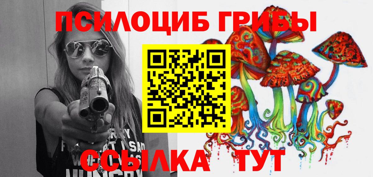 Галлюциногенные грибы Psilocybe Лесосибирск