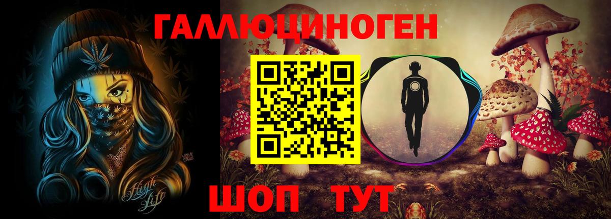 купить наркоту  Вход с VPN  Лесосибирск  Галлюциногенные грибы Cubensis 